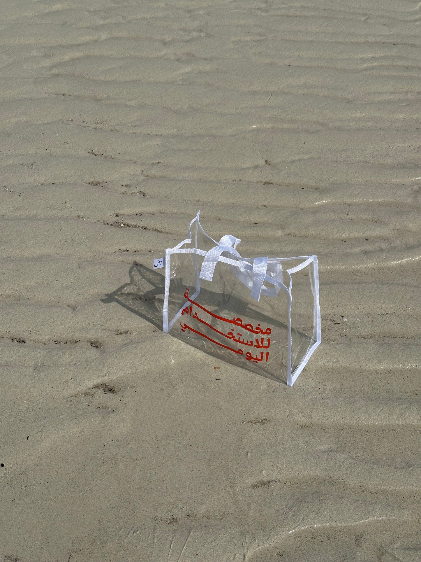 Clear Beach Bag