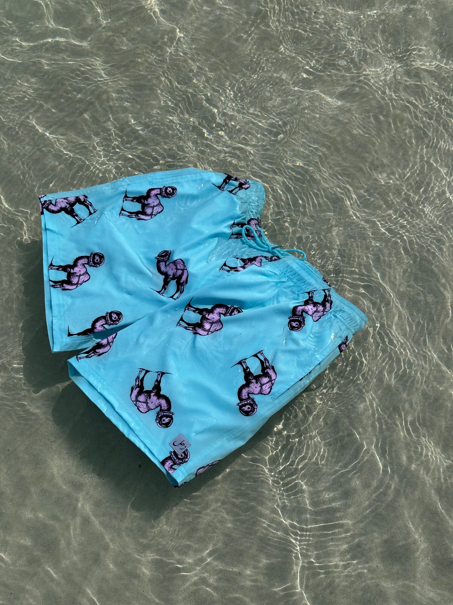 Camel Swim Shorts